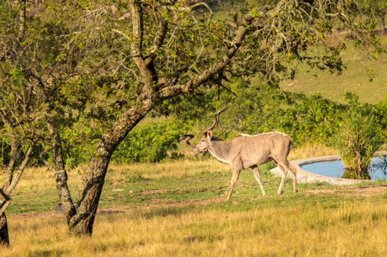 @Nature Luxury Cottages Mbombela Zewnętrze zdjęcie