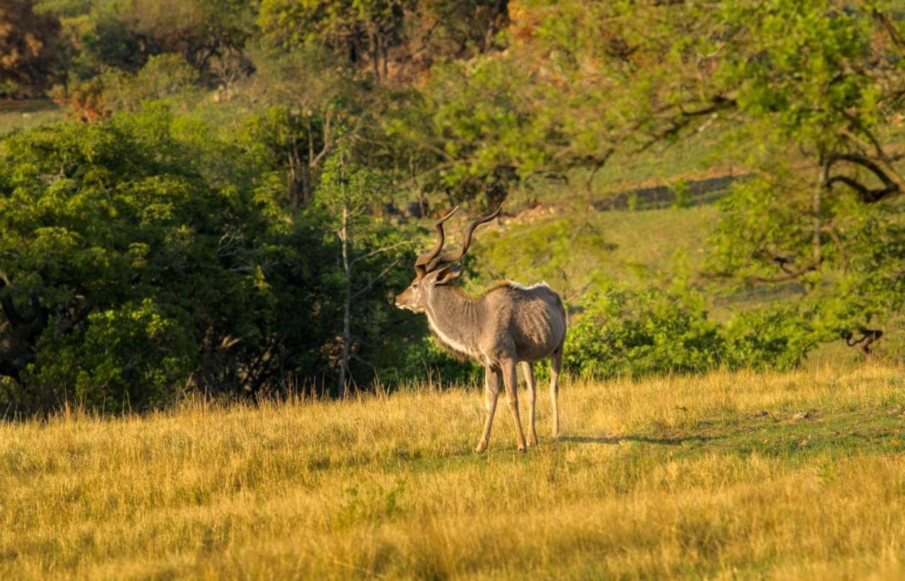 @Nature Luxury Cottages Mbombela Zewnętrze zdjęcie