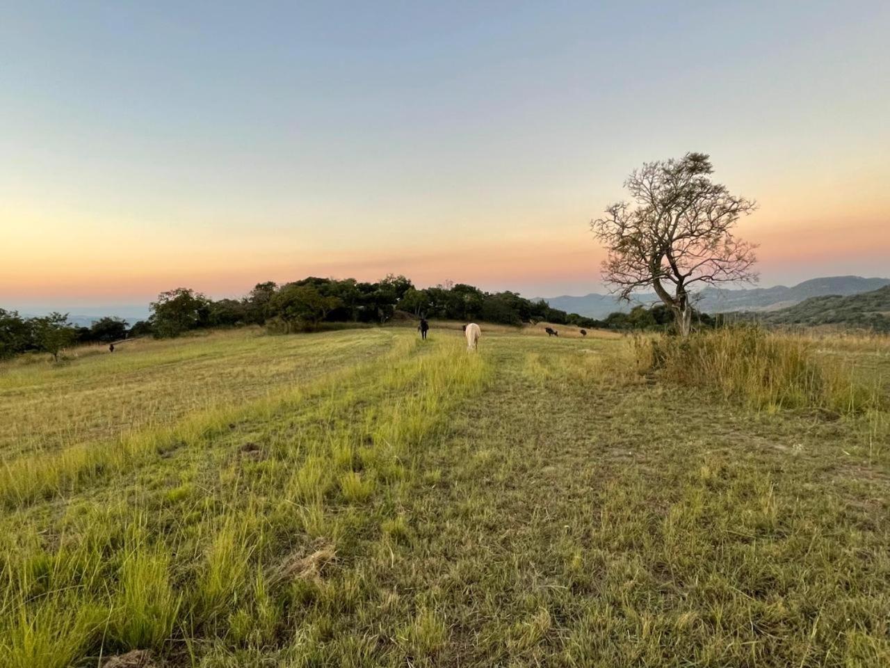 @Nature Luxury Cottages Mbombela Zewnętrze zdjęcie