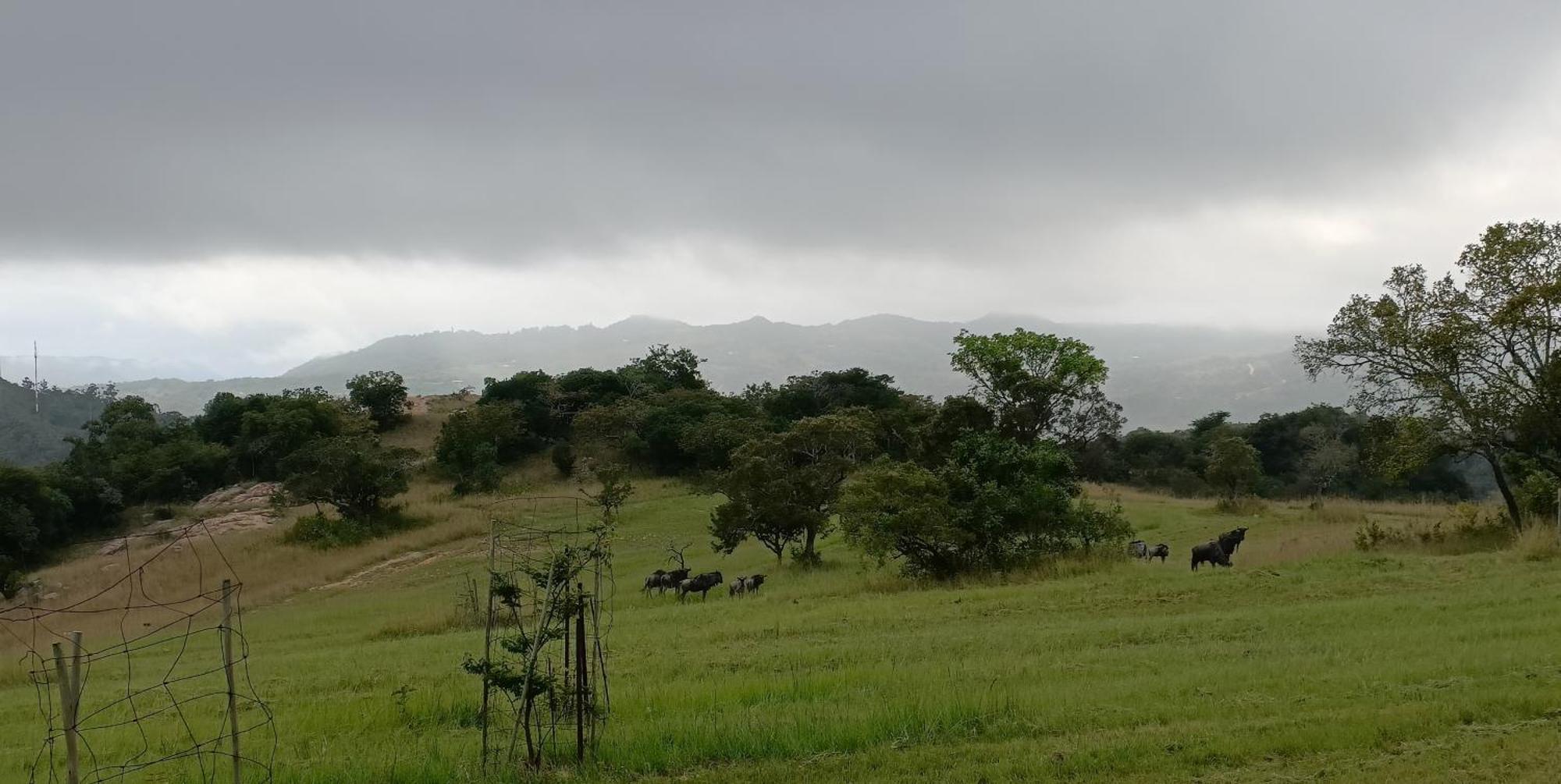 @Nature Luxury Cottages Mbombela Zewnętrze zdjęcie