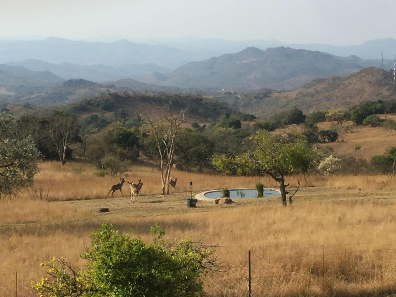 @Nature Luxury Cottages Mbombela Zewnętrze zdjęcie